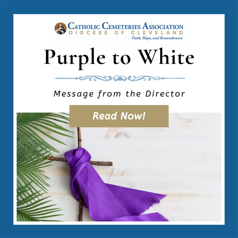 Purple to White Blog